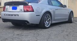 2004 Ford Mustang COBRA SVT TERMINATOR