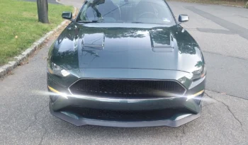 2019 Ford Mustang full