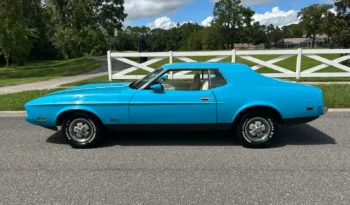 1973 Ford Mustang full