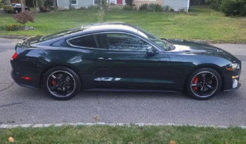 2019 Ford Mustang full