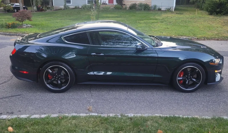 2019 Ford Mustang full