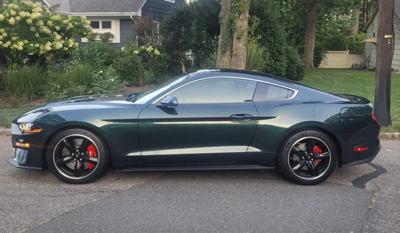 2019 Ford Mustang full