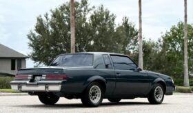1987 Buick Regal Type-T Grand National GNX Limited Muscle Car