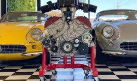 Ferrari Enzo F140B V12 Engine