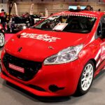 Reiger rally suspension