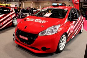 Reiger rally suspension